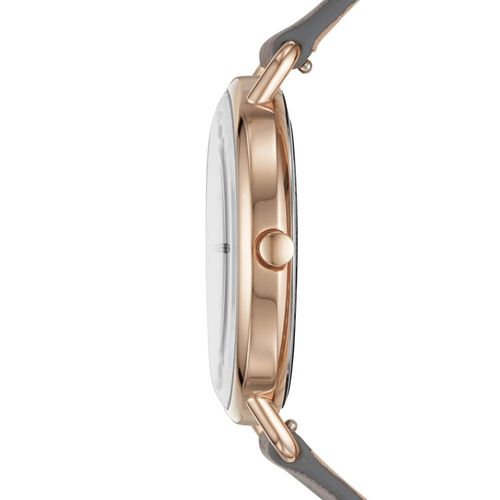 Reloj Skagen Mujer SKW2739