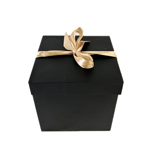 Caja Negra