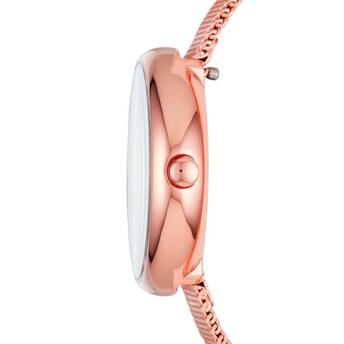 Reloj Skagen Mujer SKW2593